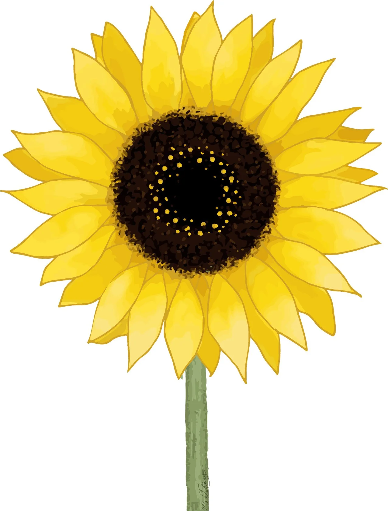 Sunflower
(Digital media)