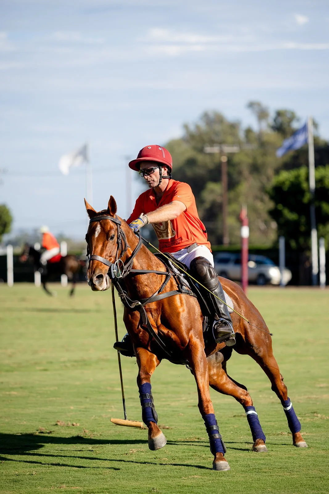 248LuxuryEquestrianPolo2026.jpg