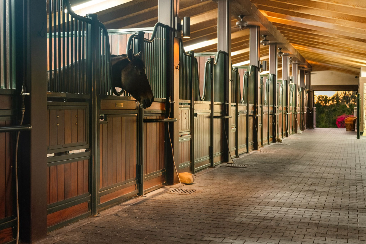 Villa Latigo e Cavalli