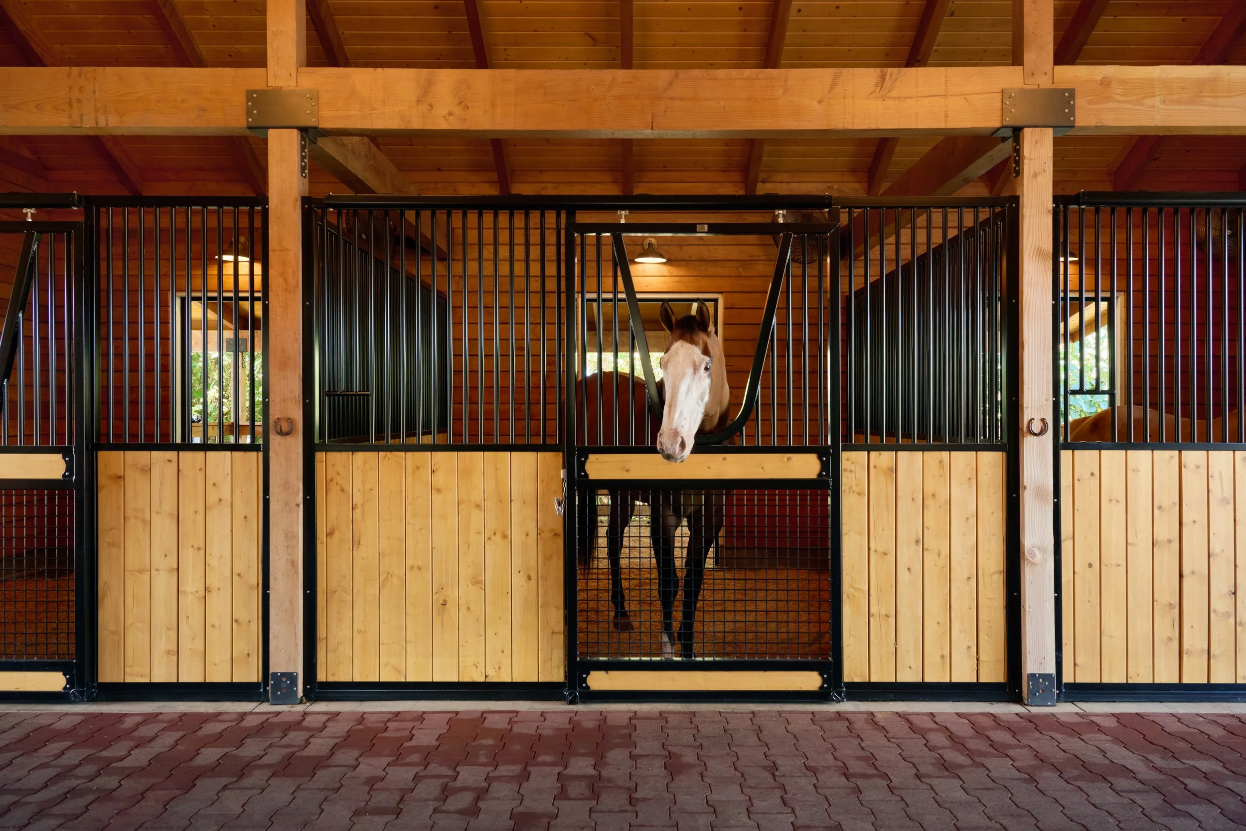 WEB_MauiHorseBarn_10.jpg