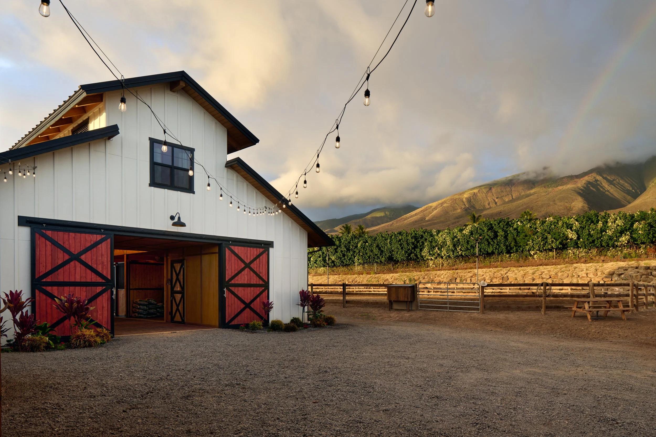 WEB_MauiHorseBarn_25.jpg