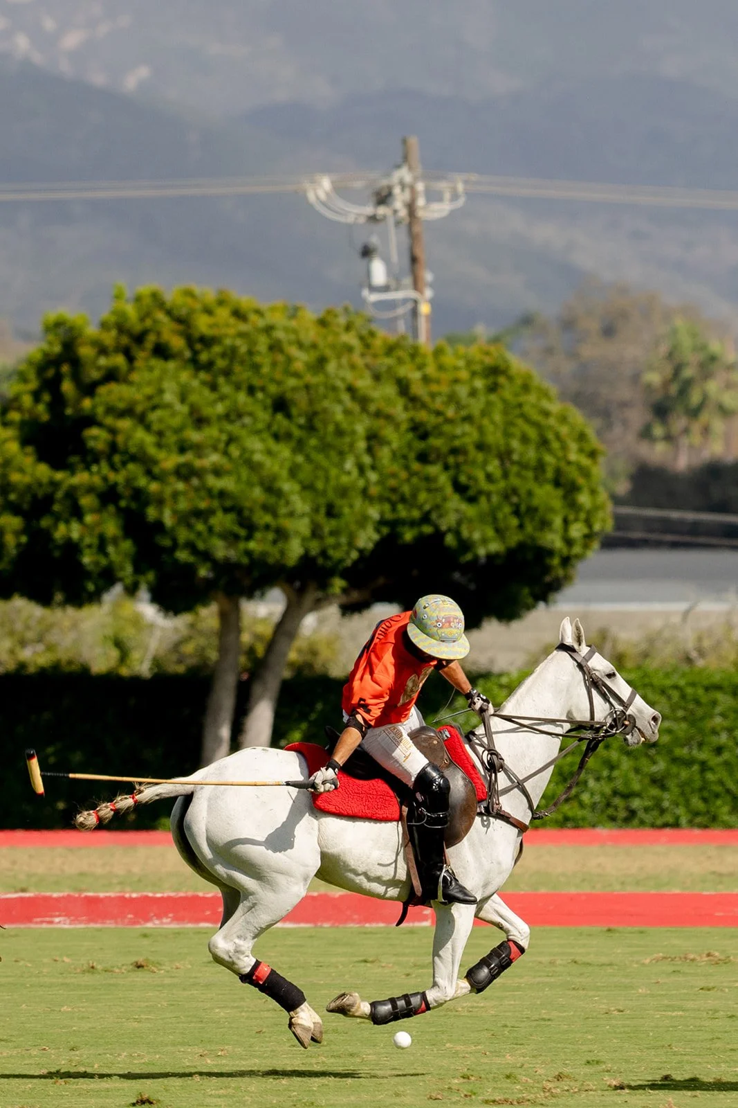 130LuxuryEquestrianPolo2026.jpg