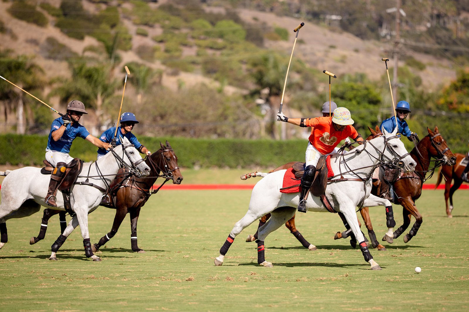 132LuxuryEquestrianPolo2026.jpg