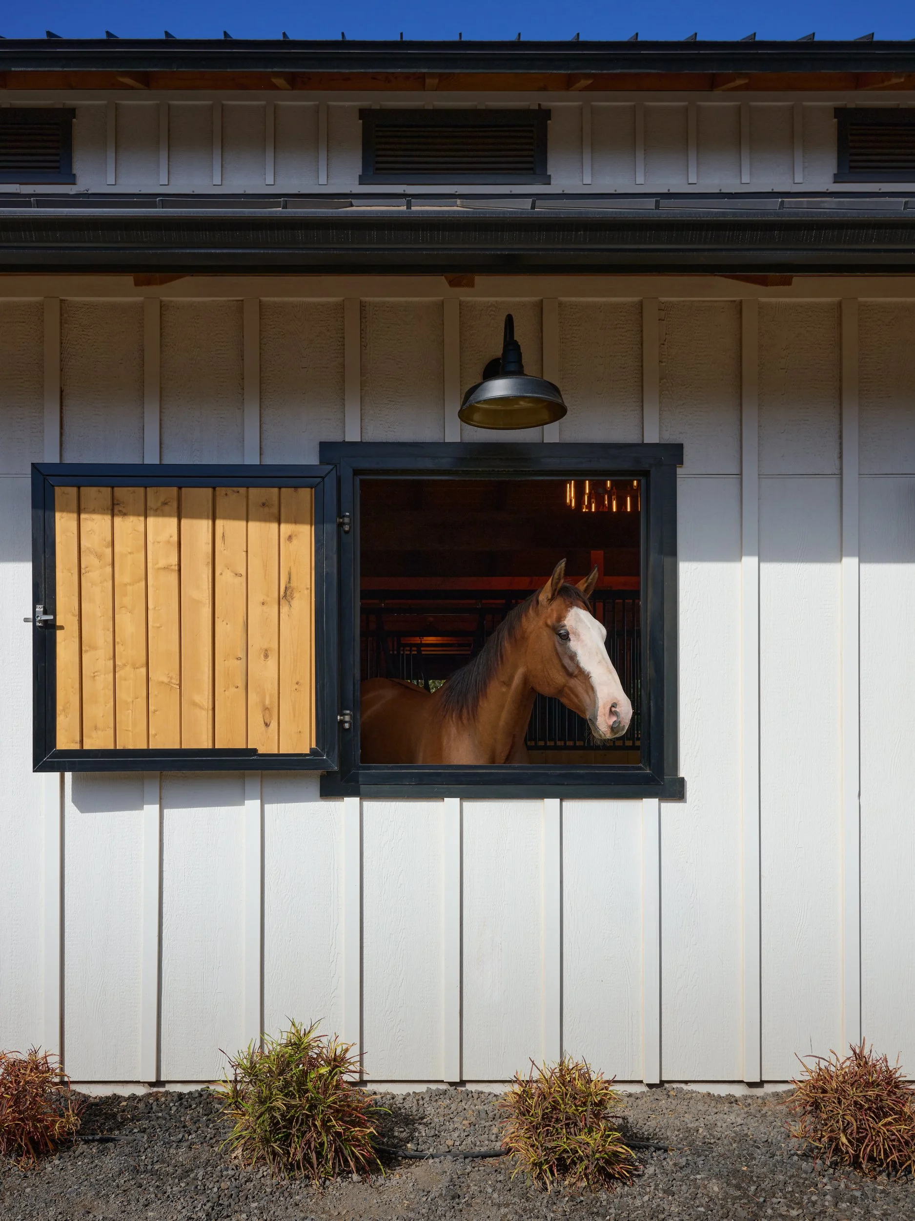 WEB_MauiHorseBarn_07.jpg