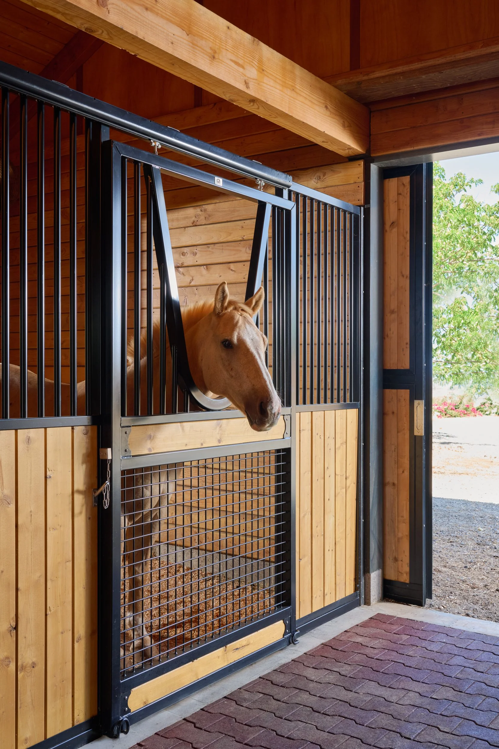 WEB_MauiHorseBarn_17.jpg
