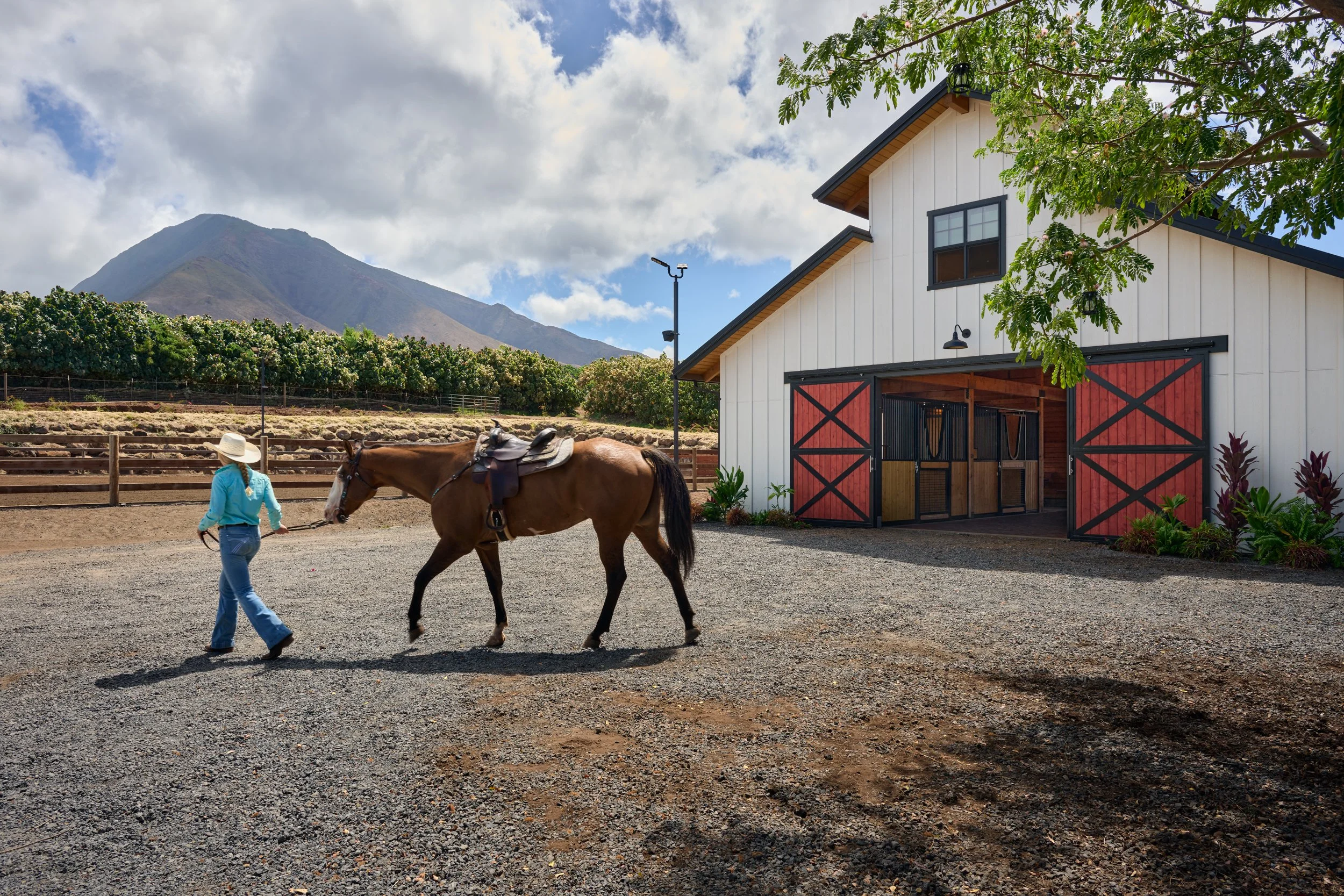 WEB_MauiHorseBarn_22.jpg