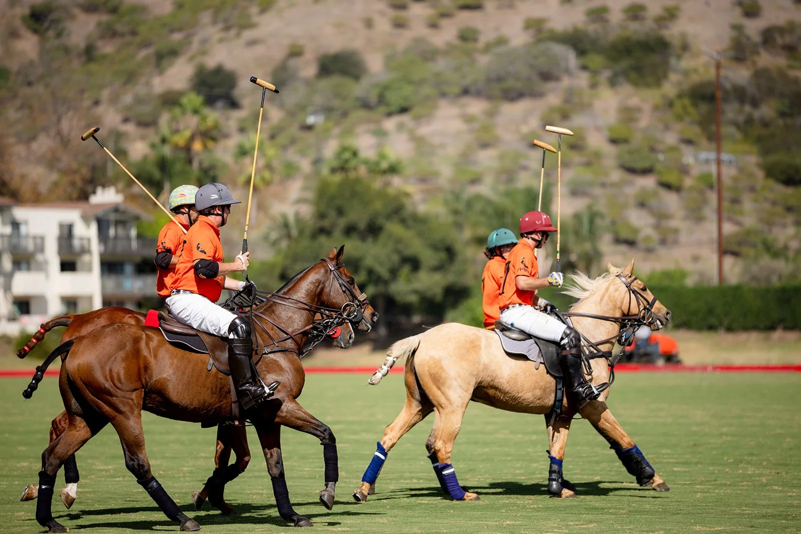 105LuxuryEquestrianPolo2026.jpg