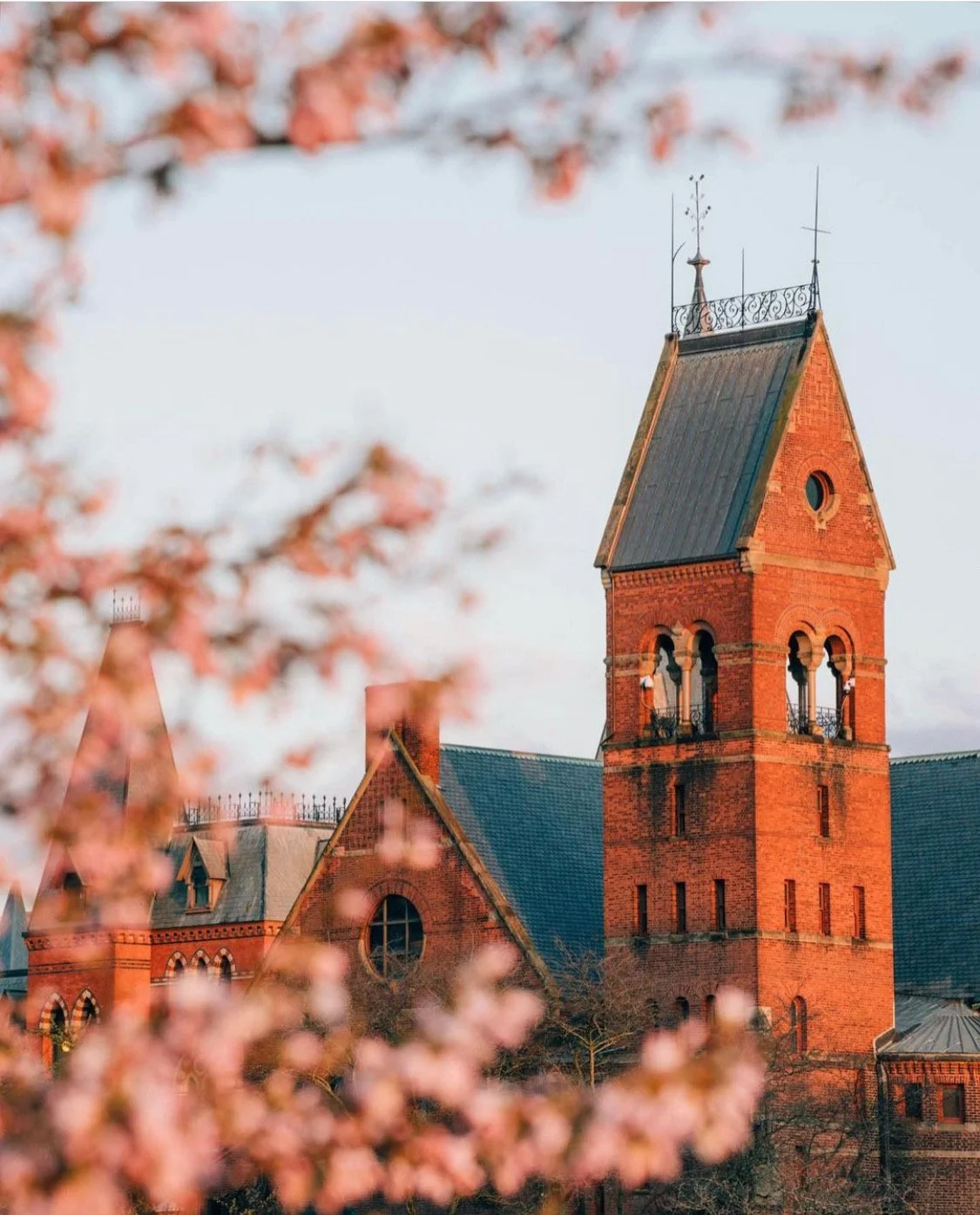 Cornell — Fast Track Recruits