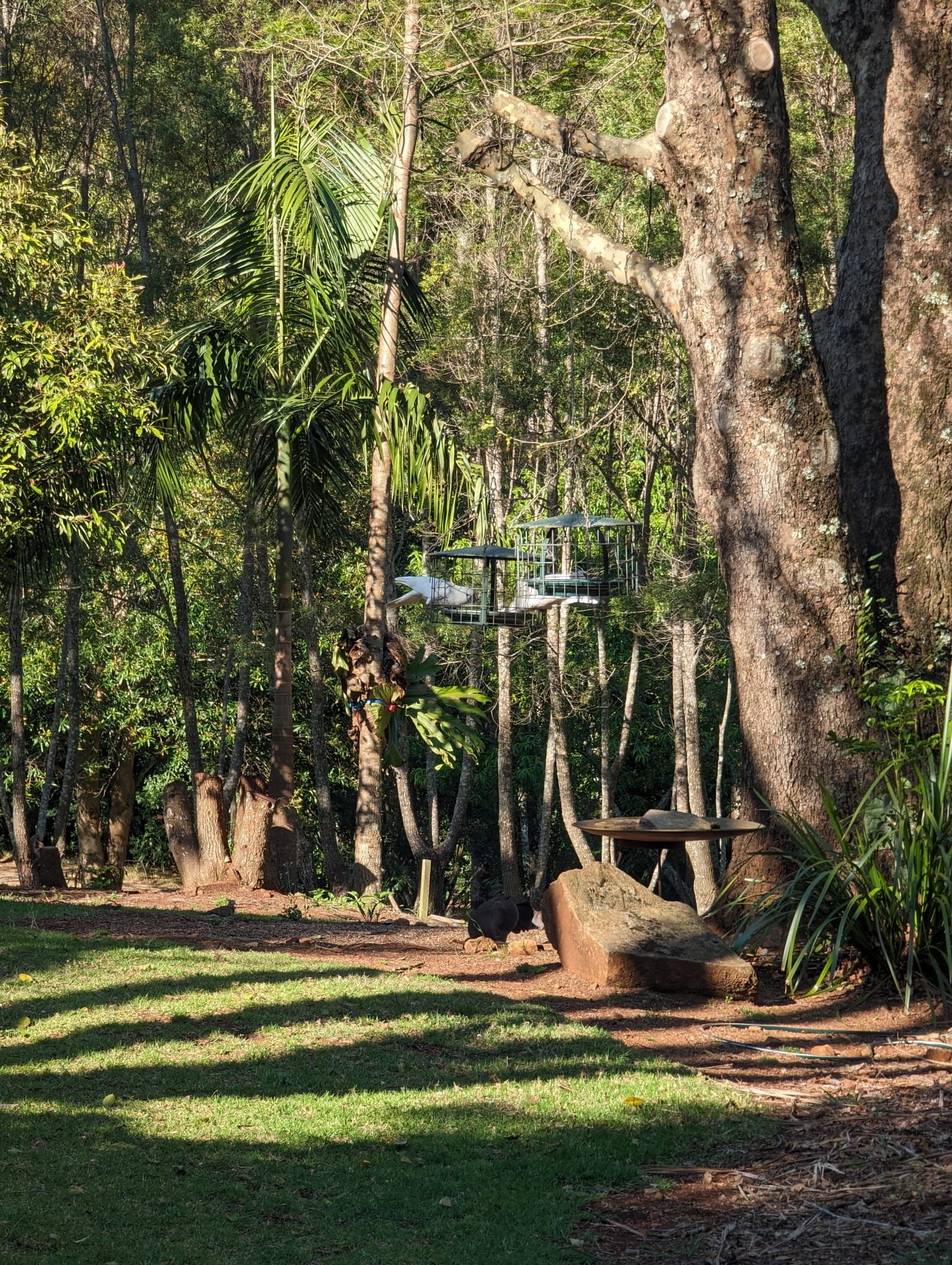 Songshine Camp 2023 - Mt Glorious