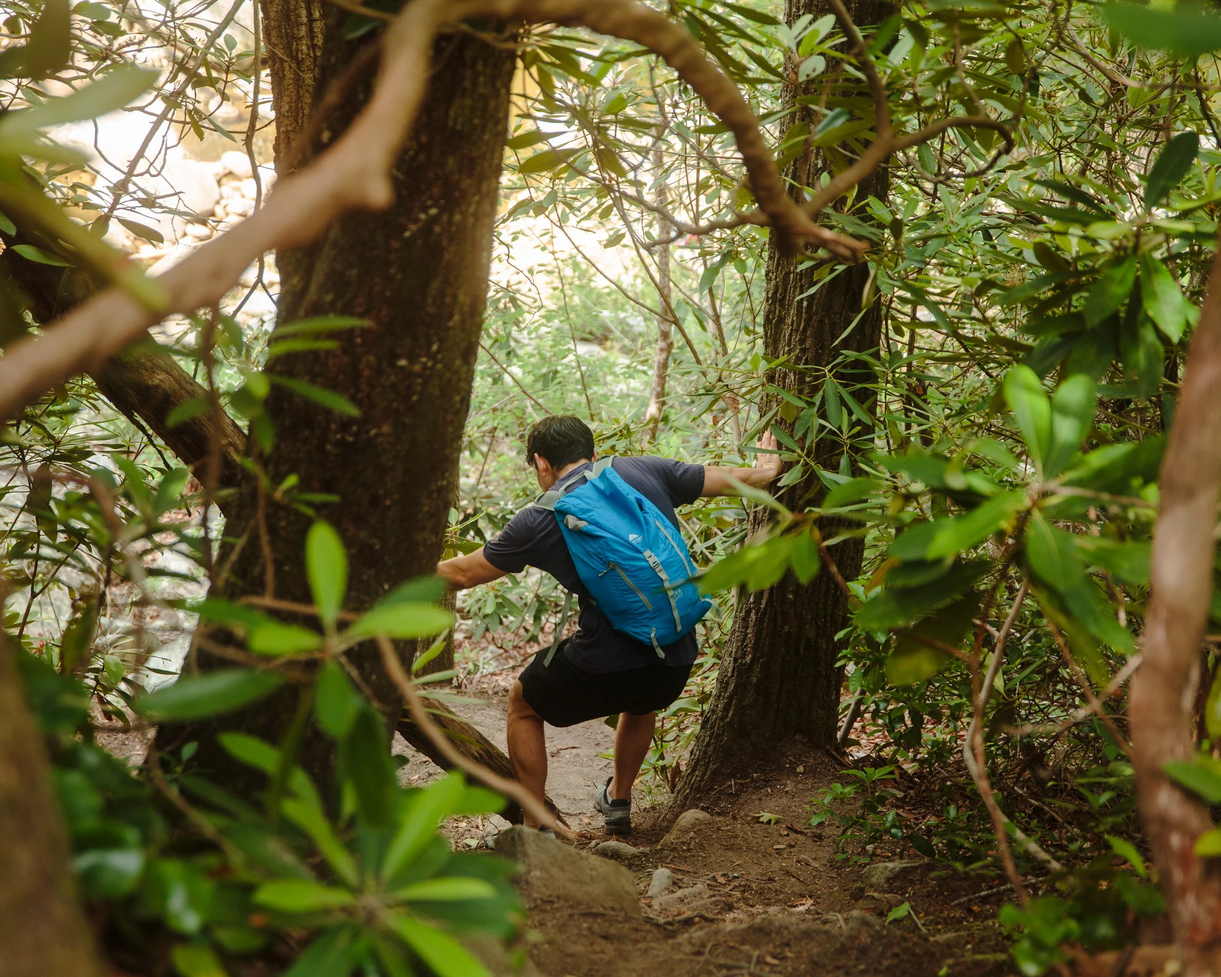 devils-hole-trail-pisgah-national-forest-lifestyle-0629.jpg