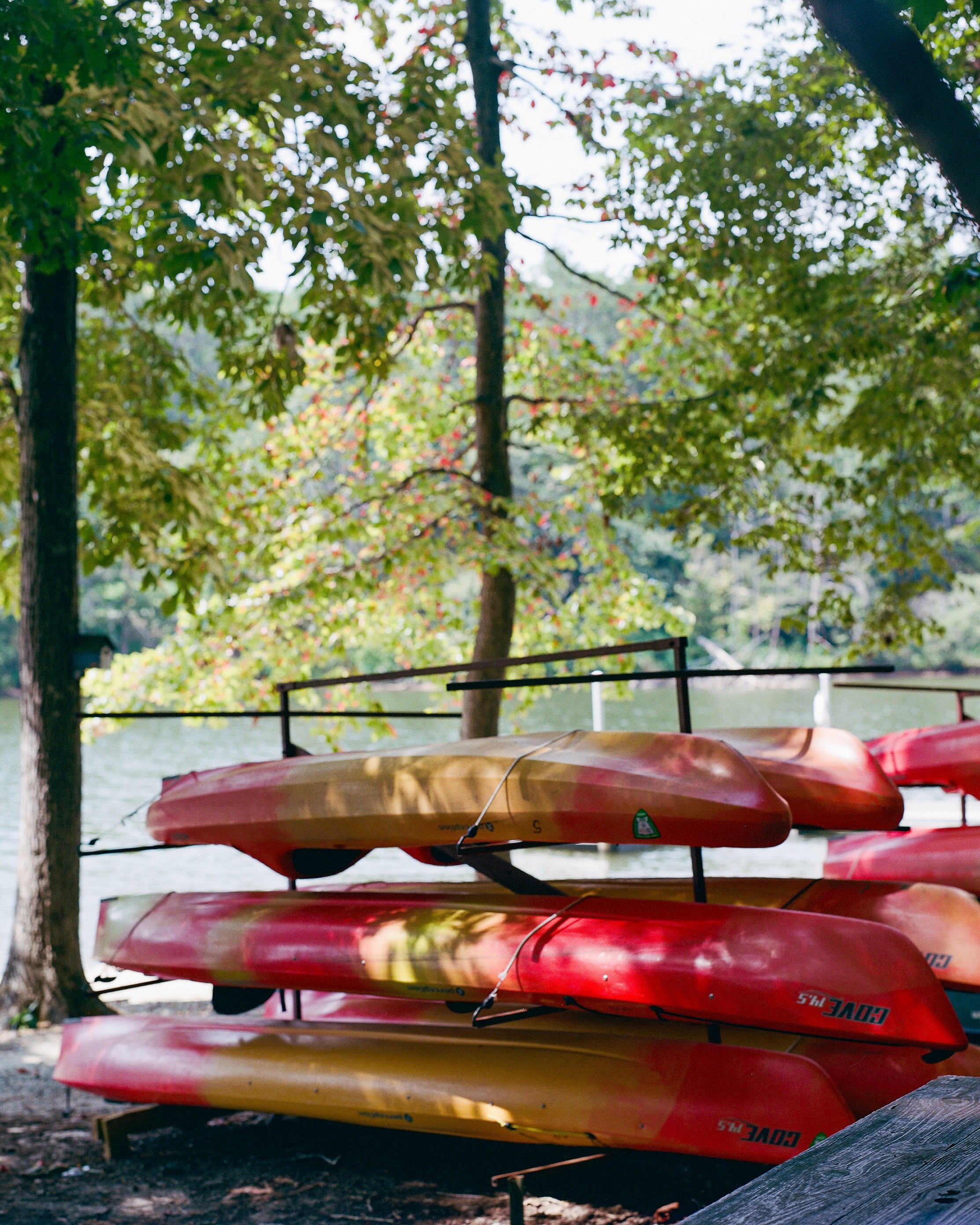 NC+Photographic+Journey-8-2.jpg