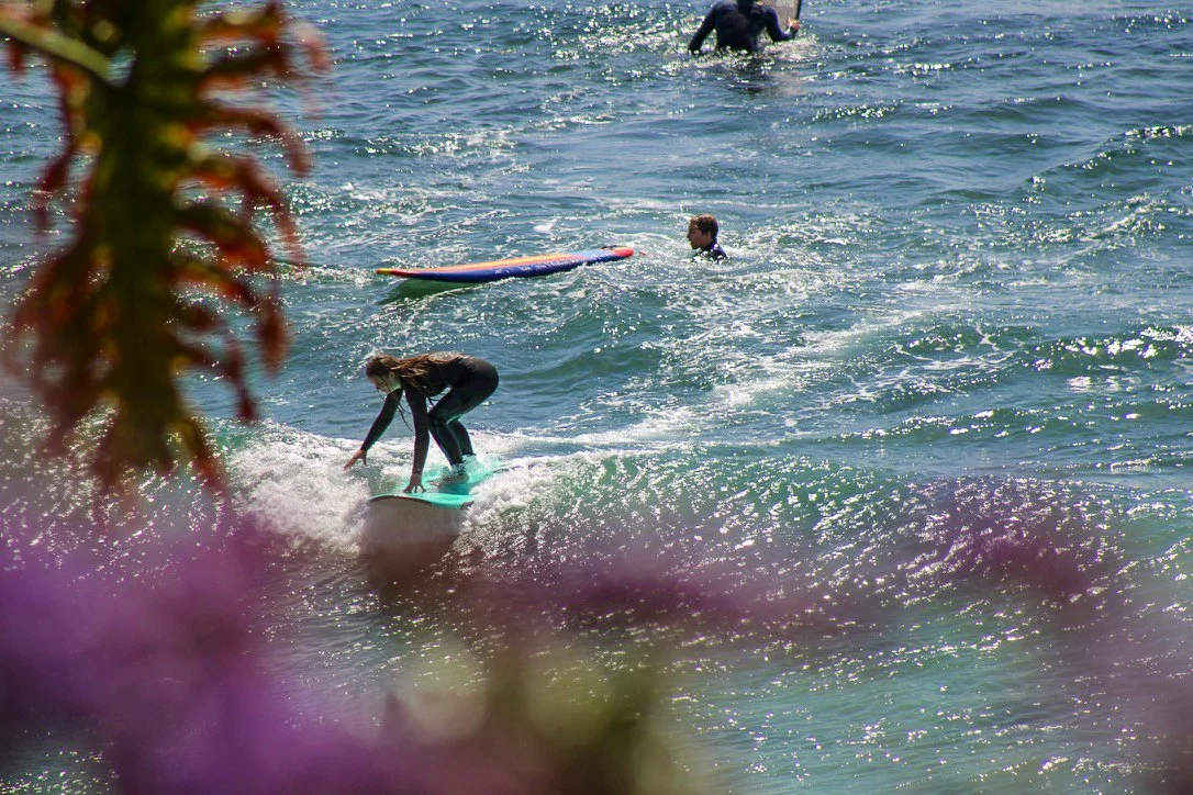 Laguna Beach, CA.  2022