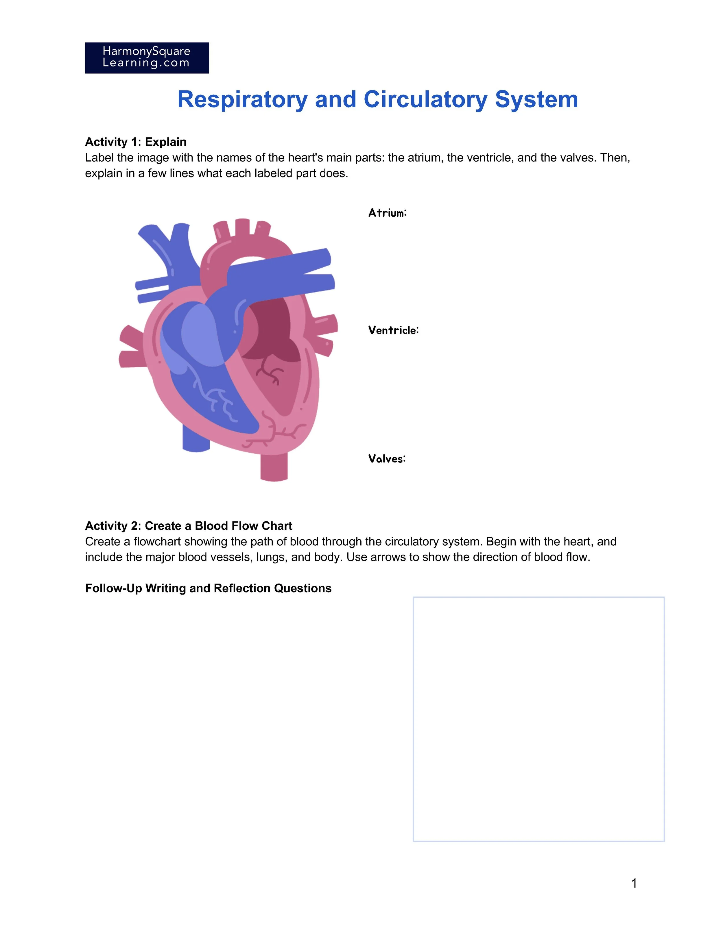 Respiratory and Circulatory Systems — Lumina Learning