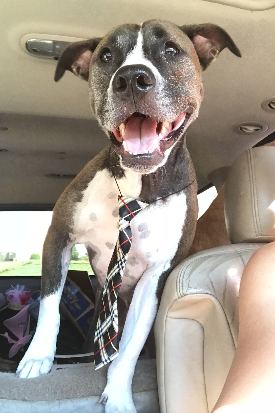 Our Story — Because of Roscoe