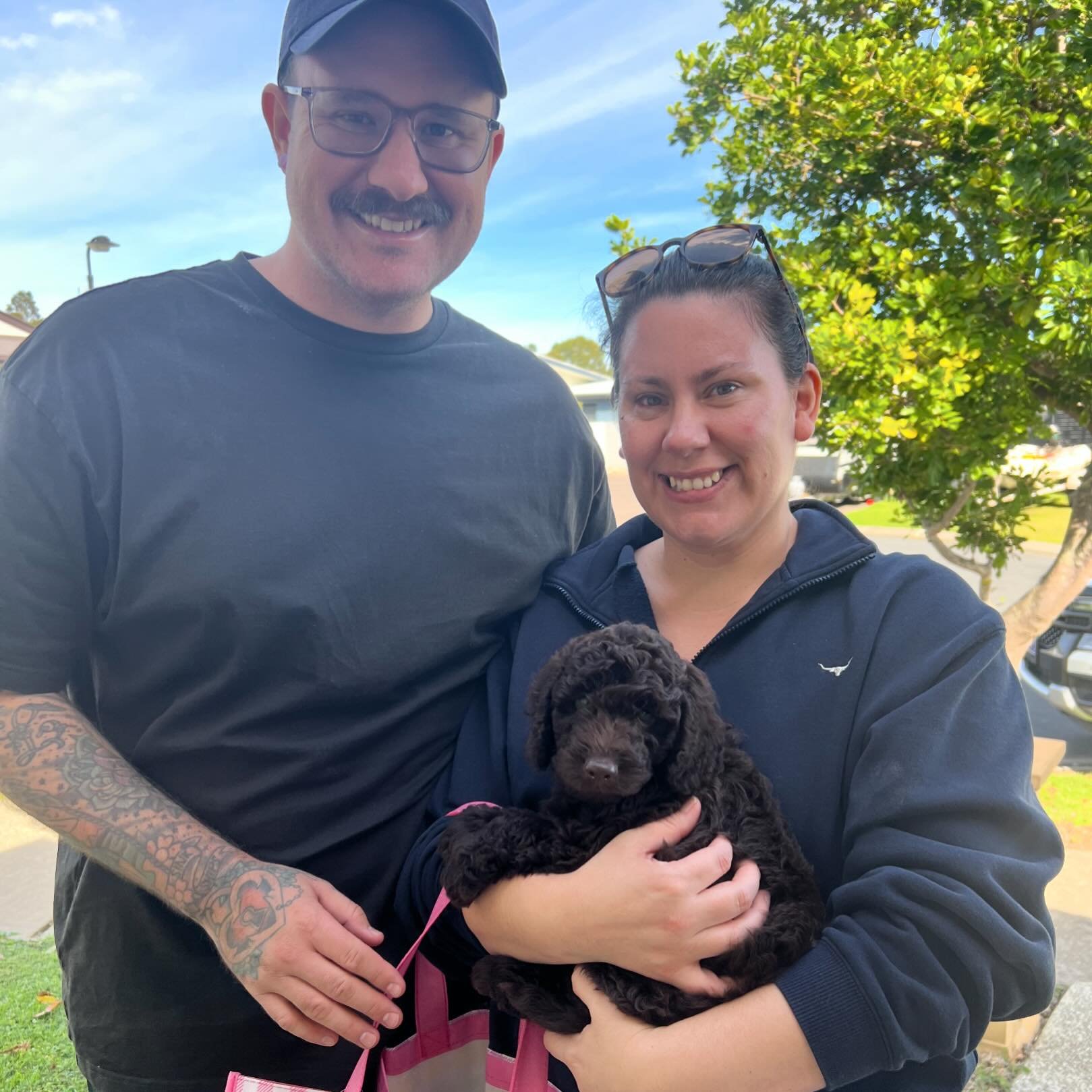 Meadow is off to her new family this morning 🐶🥰❤️