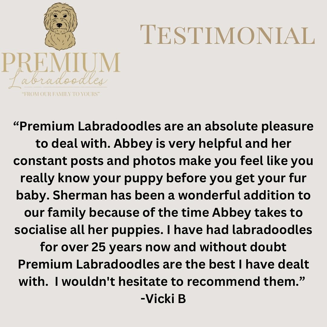 Thanks Vicki! It was a pleasure raising Mr Sherman and I am so glad he is the perfect fit for your family 🥰❤️