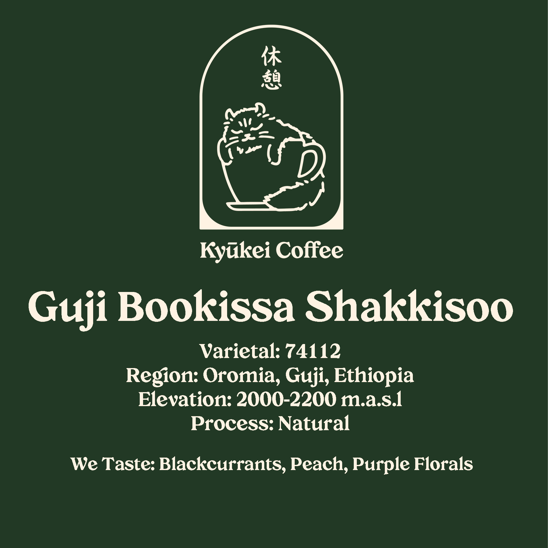 Bookissa.png