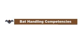 Bat Handling Competencies.png