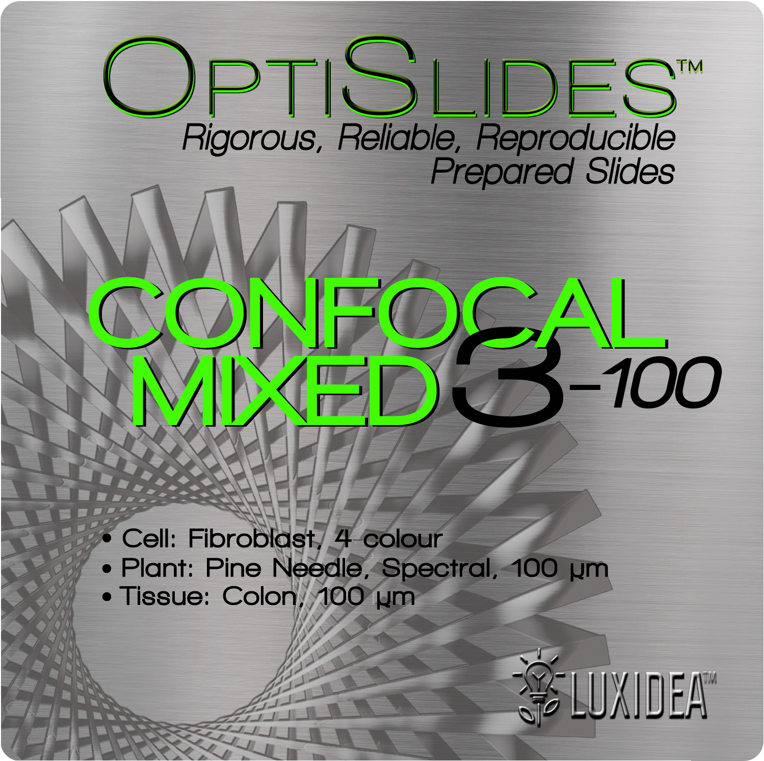 Confocal Mixed 3-100: Stone Pine (100 um), Colon (100 um), Fibroblast