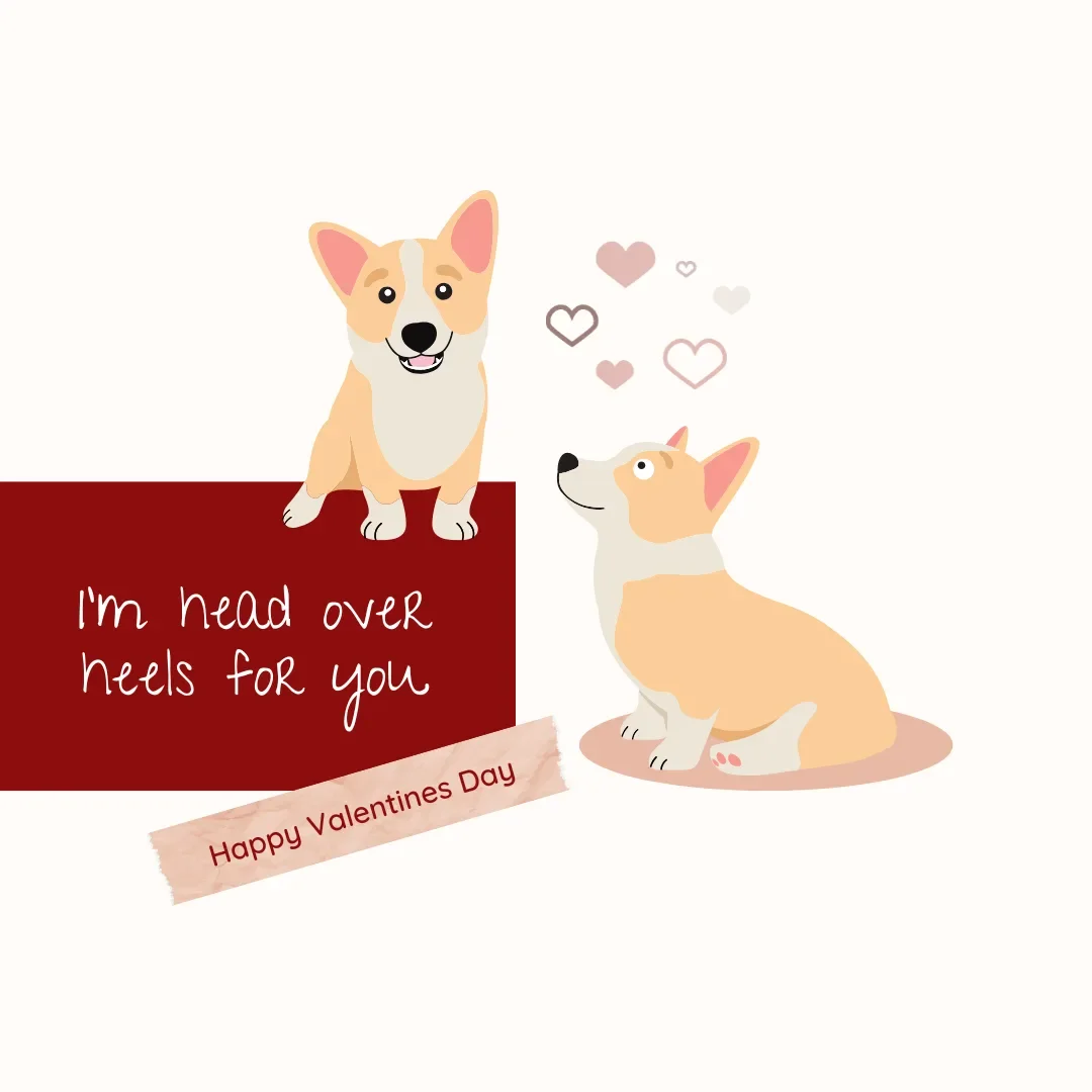 Valentine’s Day Is Around the Corner… and Our Dogs Are Ready to Steal the Spotlight