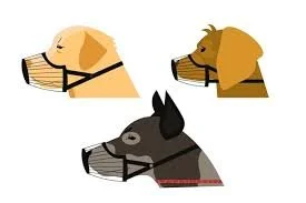 The Truth Behind Muzzles