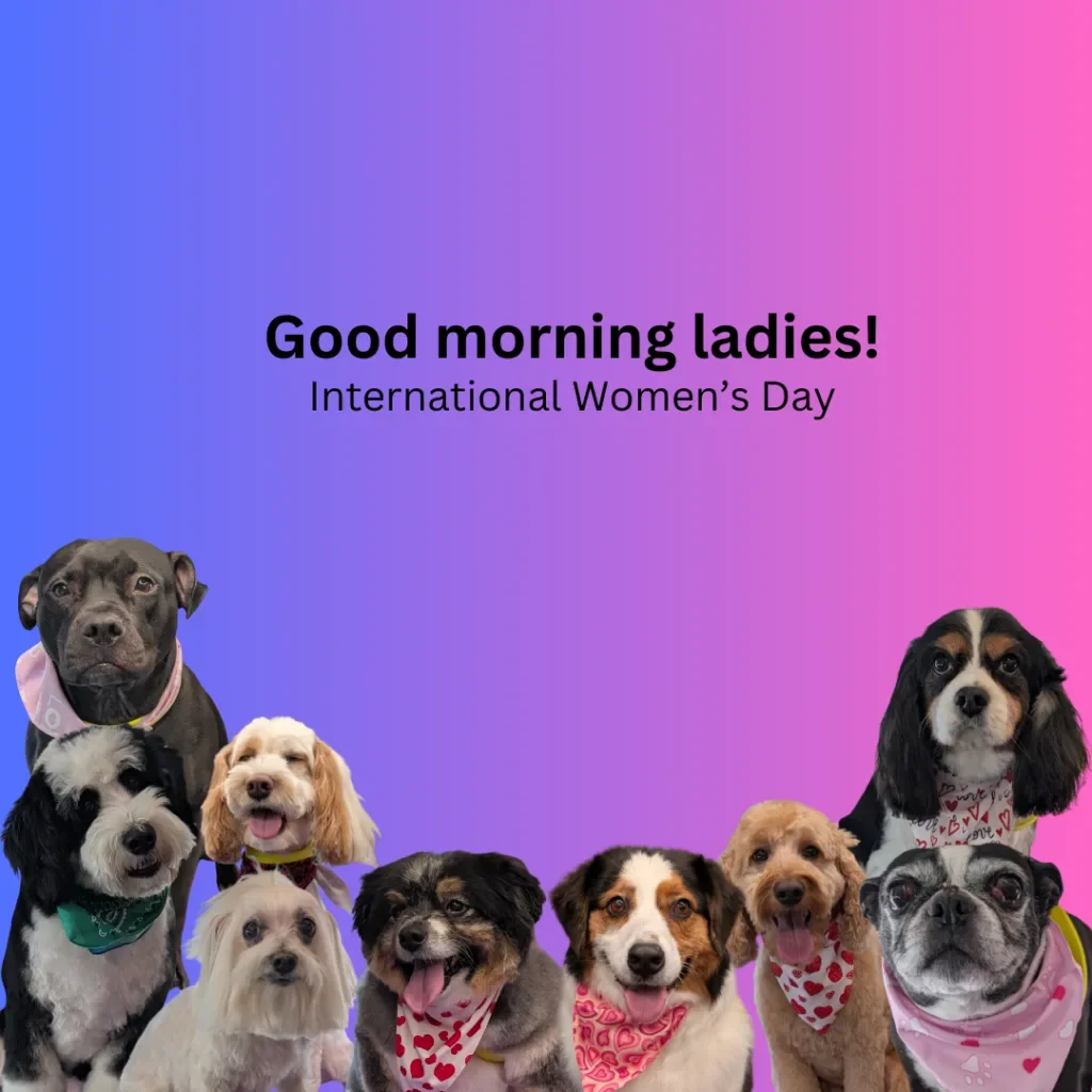 Happy International Women’s Day