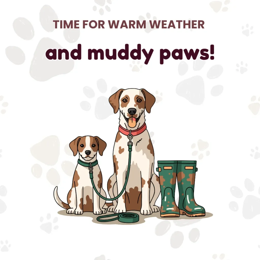 Warmer Weather Approaches