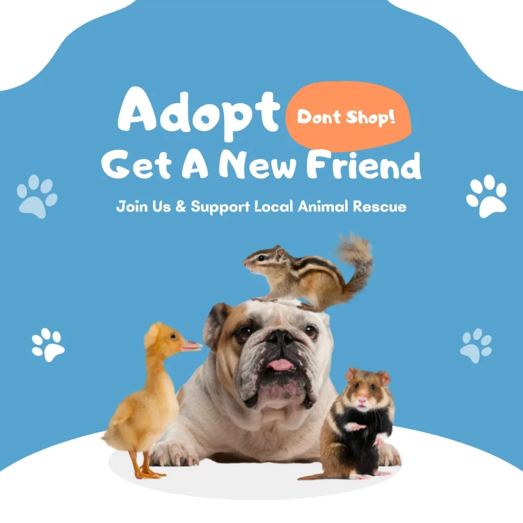 Adopt Don’t Shop