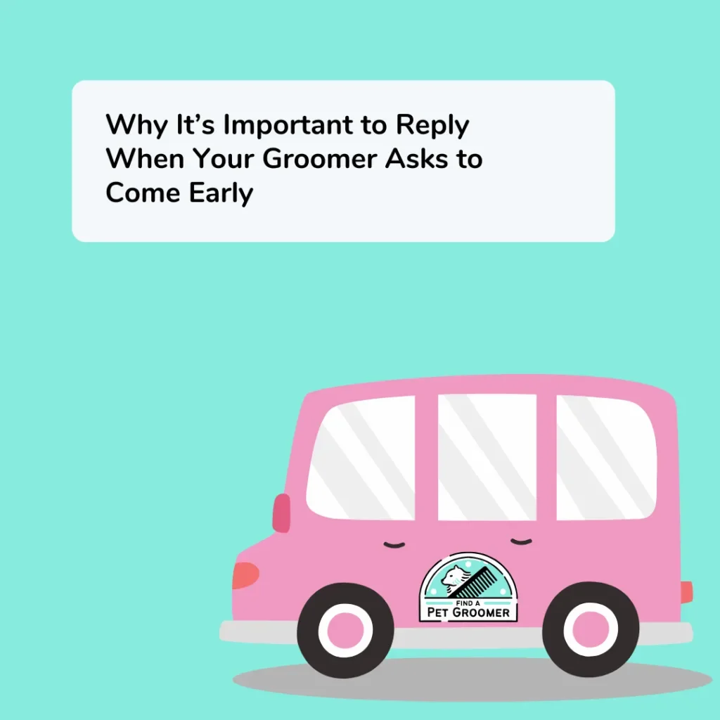 Why It’s Important to Reply to Your Groomer