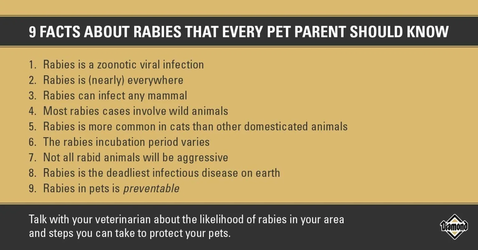9 Facts About Rabies