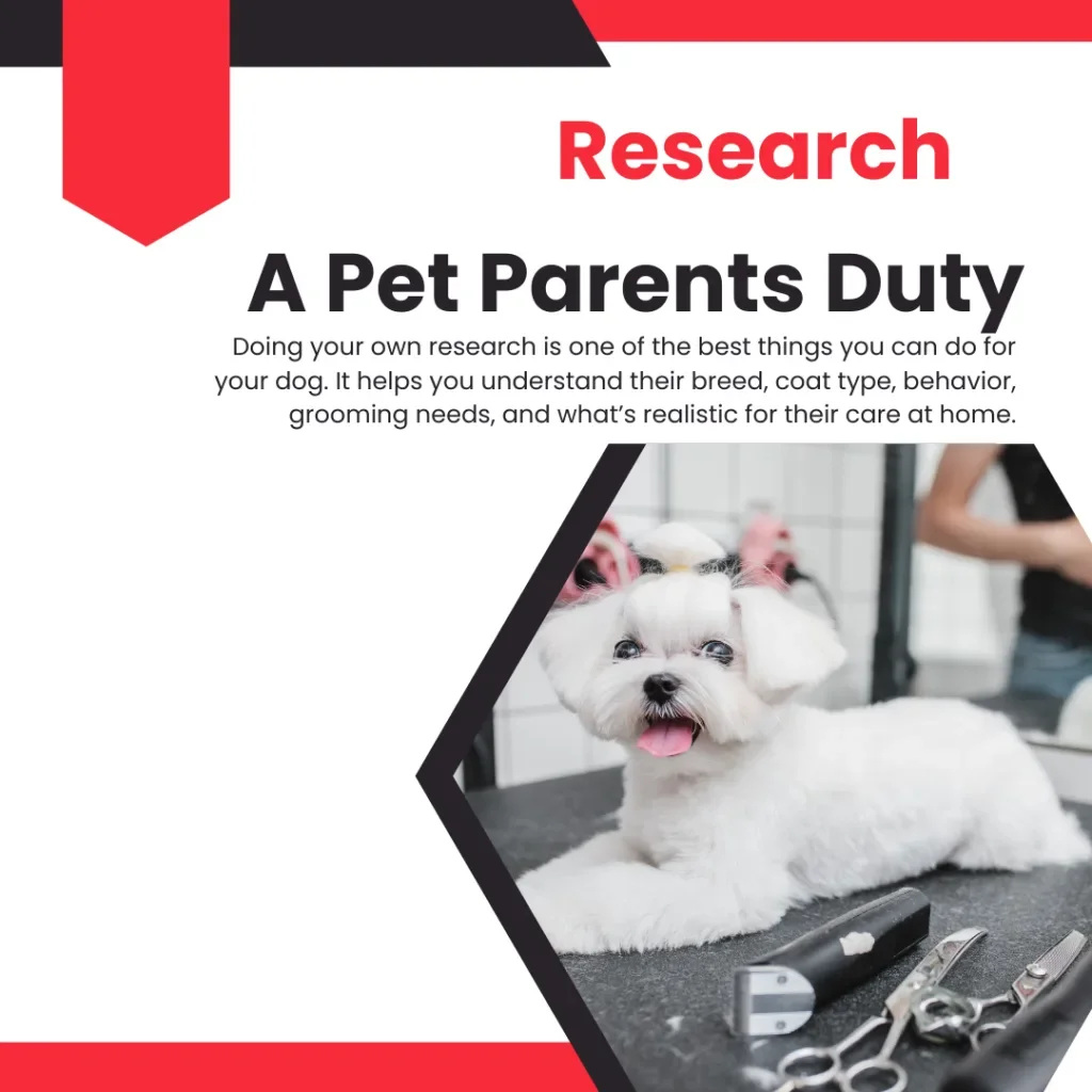 Research Is Essential for Your Pet’s Care