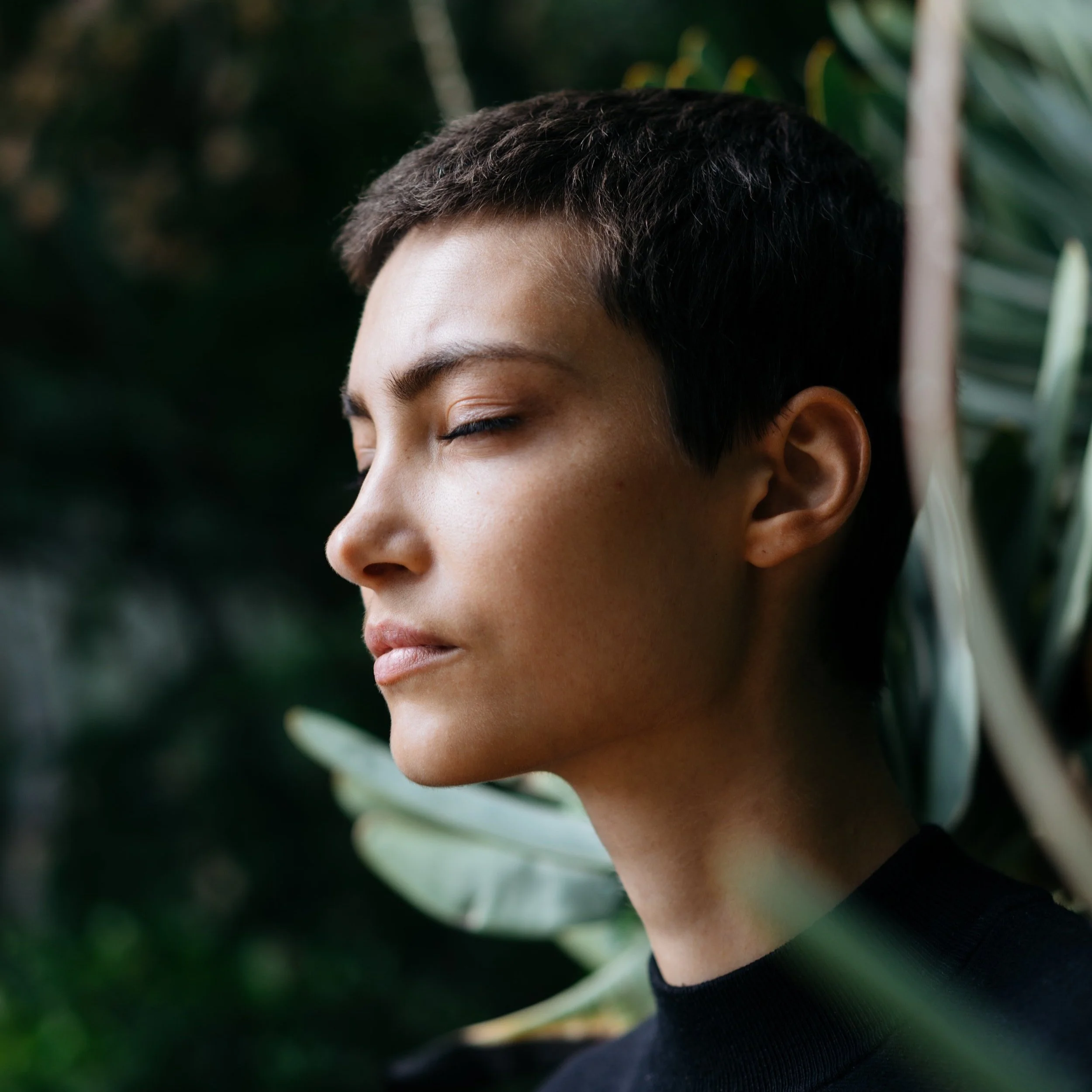 Meditation - Calm &amp; Safe