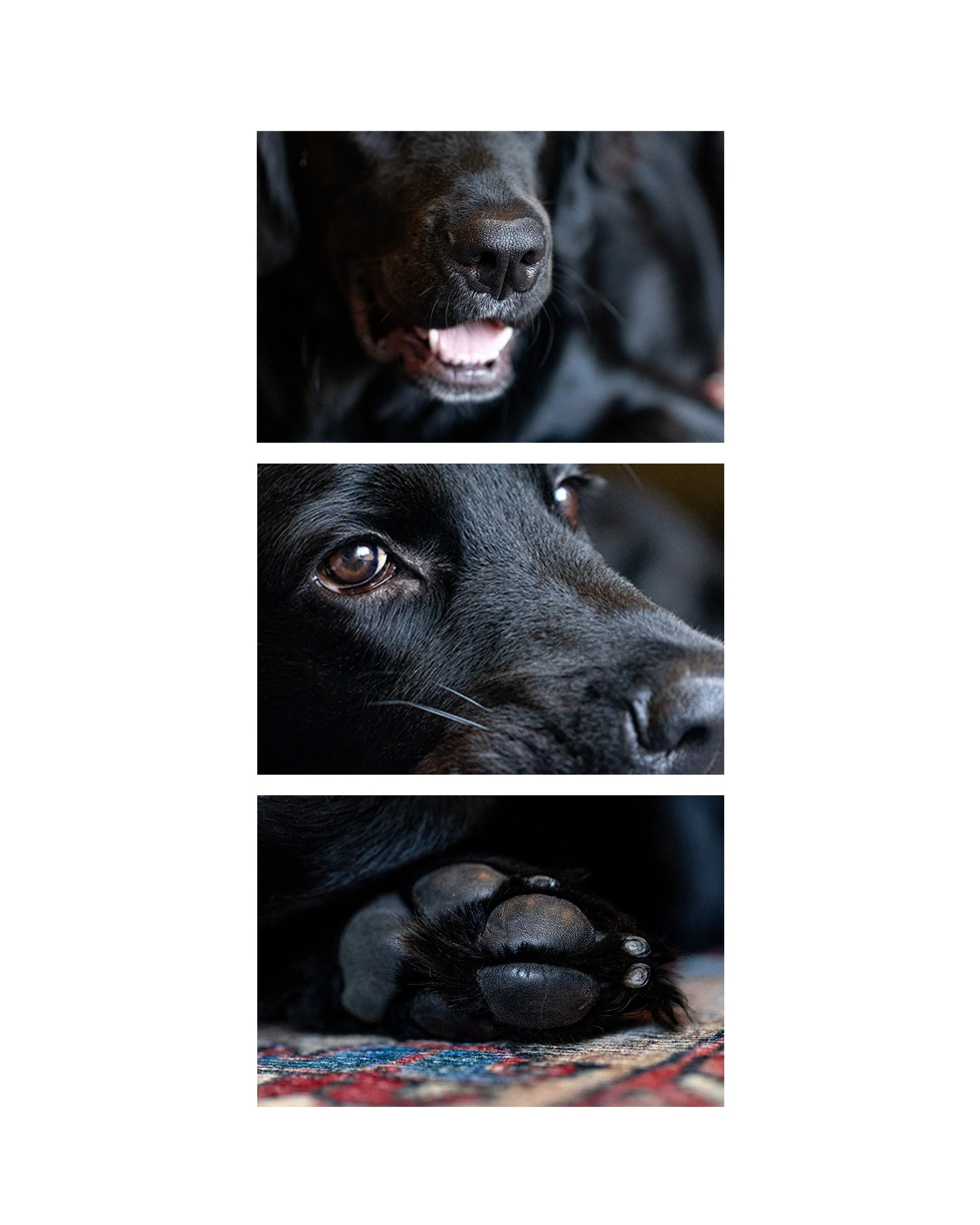 Artboard 8.jpg