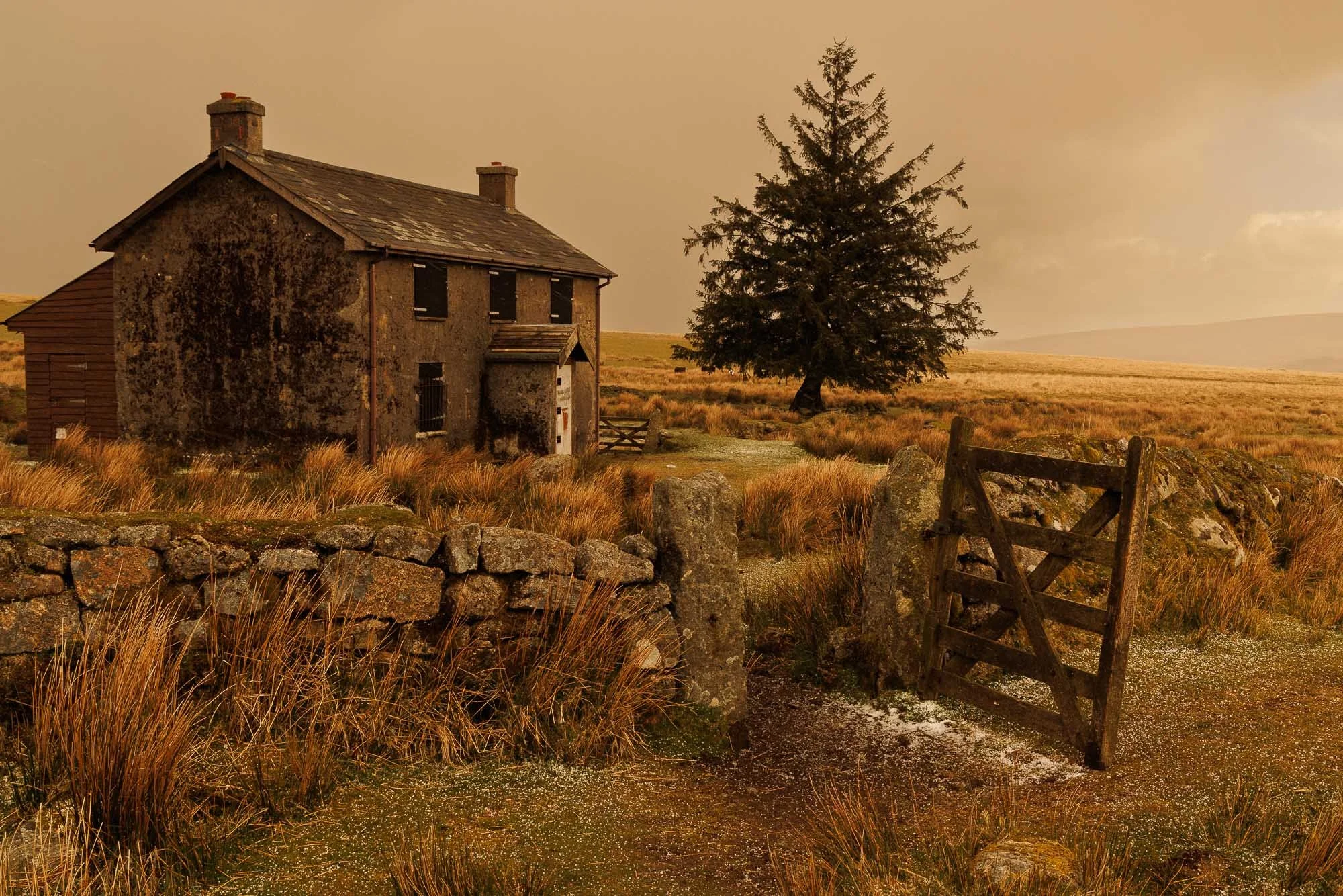 An old, weathered house next to a stone wall and a wooden gate in a grassy field with a large tree and rolling hills in the background.