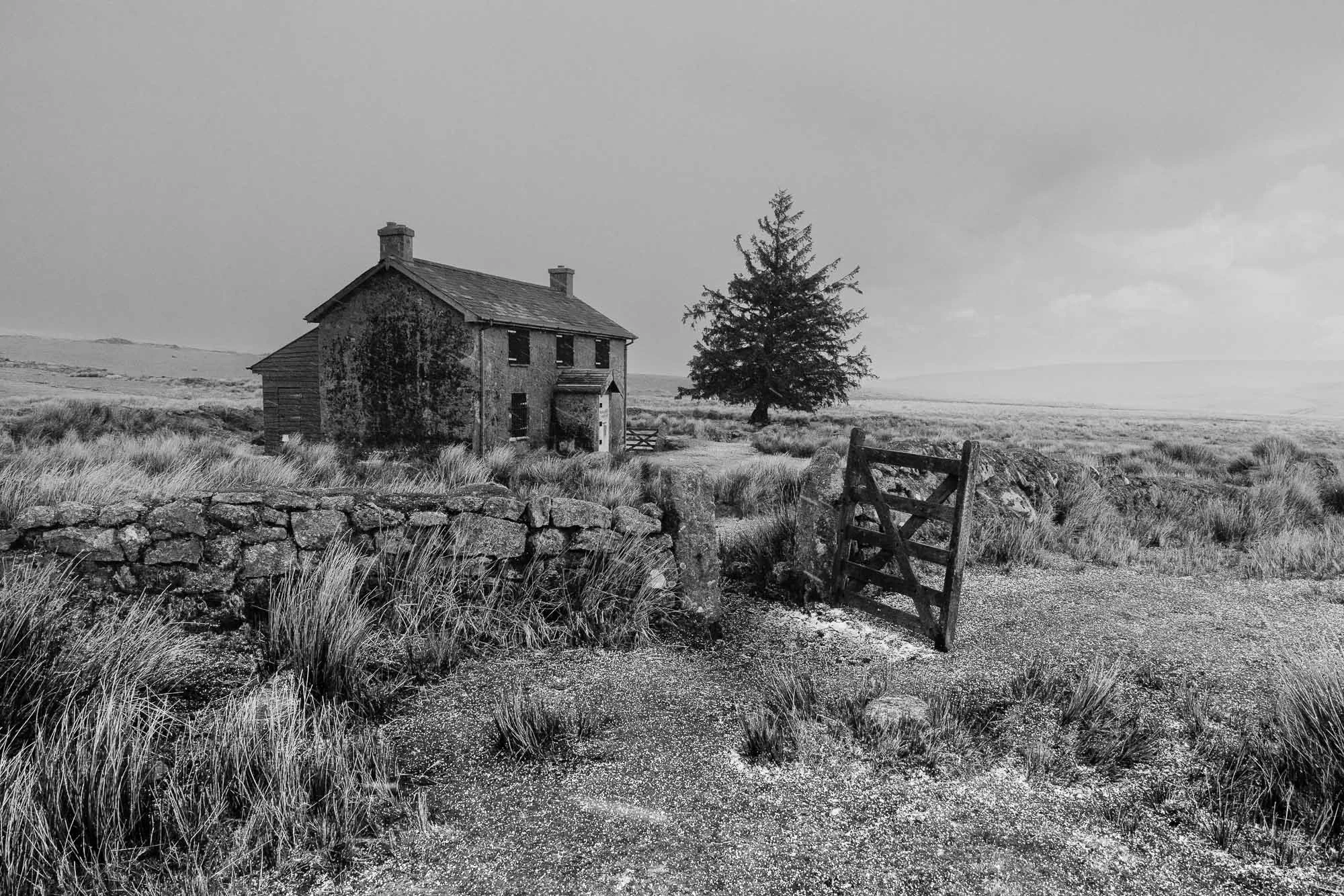 A black and white photo of an abandoned house and a tree in a grassy field, with a broken wooden gate in the foreground and a cloudy sky above.