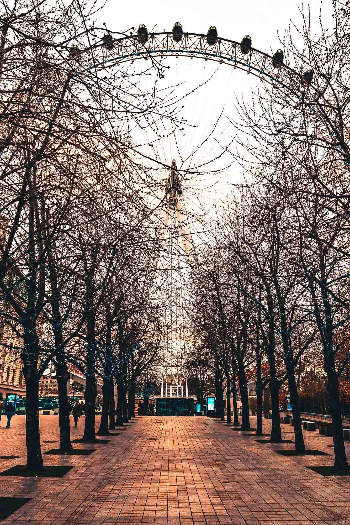 A view of the London Eye, a large Ferris wheel, seen from a walkway lined with leafless trees, with some people walking and benches on the sides.