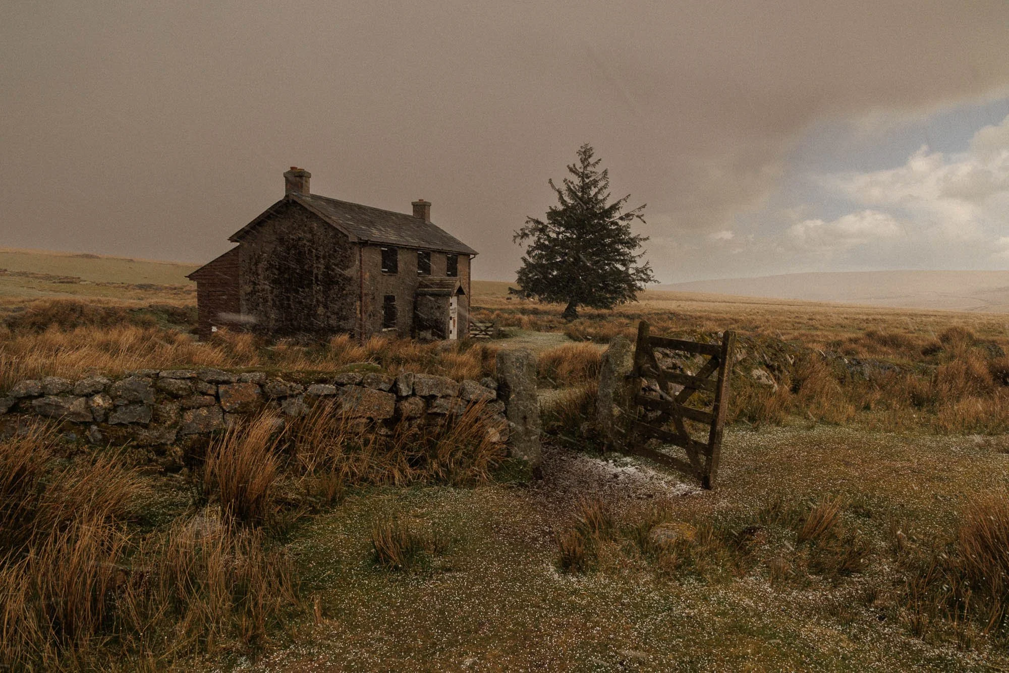 An abandoned two-story Dartmoor house with broken windows and a weathered roof in a rural field. A large tree stands nearby, and a stone wall with a broken wooden gate surrounds the scene. The landscape is flat with dry grass and a cloudy sky.