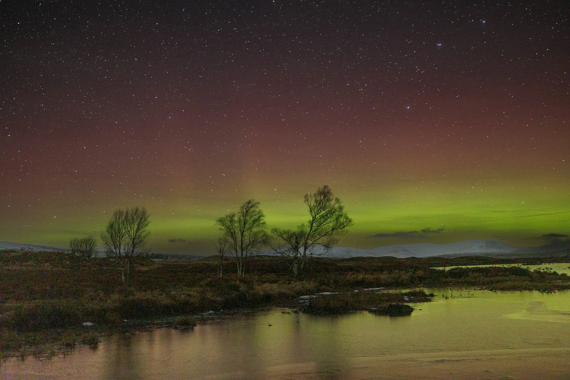 Glencoe, Scotland,  sky with stars and aurora borealis over a landscape with trees, water, and distant mountains.