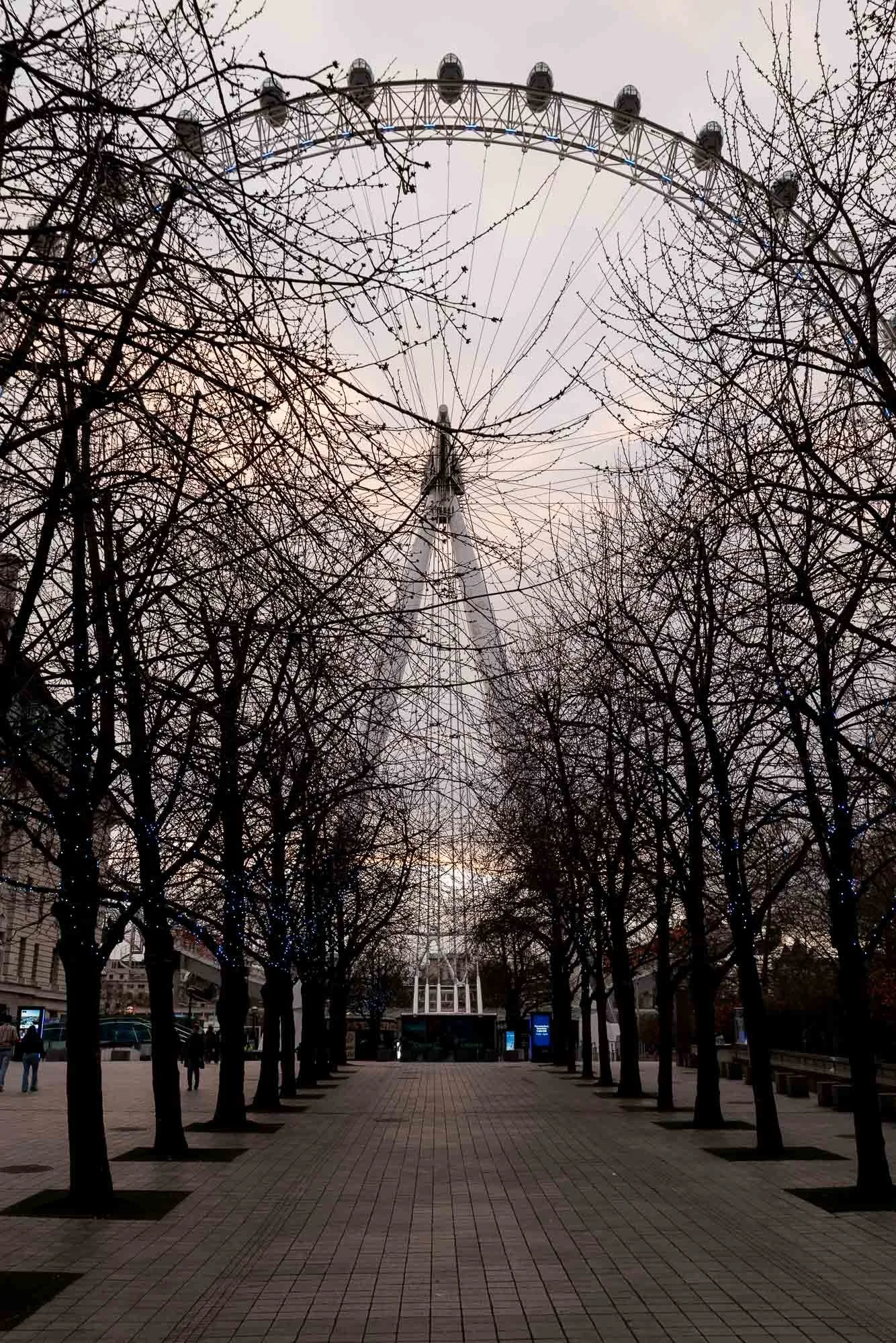 A view of the London Eye Ferris wheel through the leafless trees on a cloudy day.