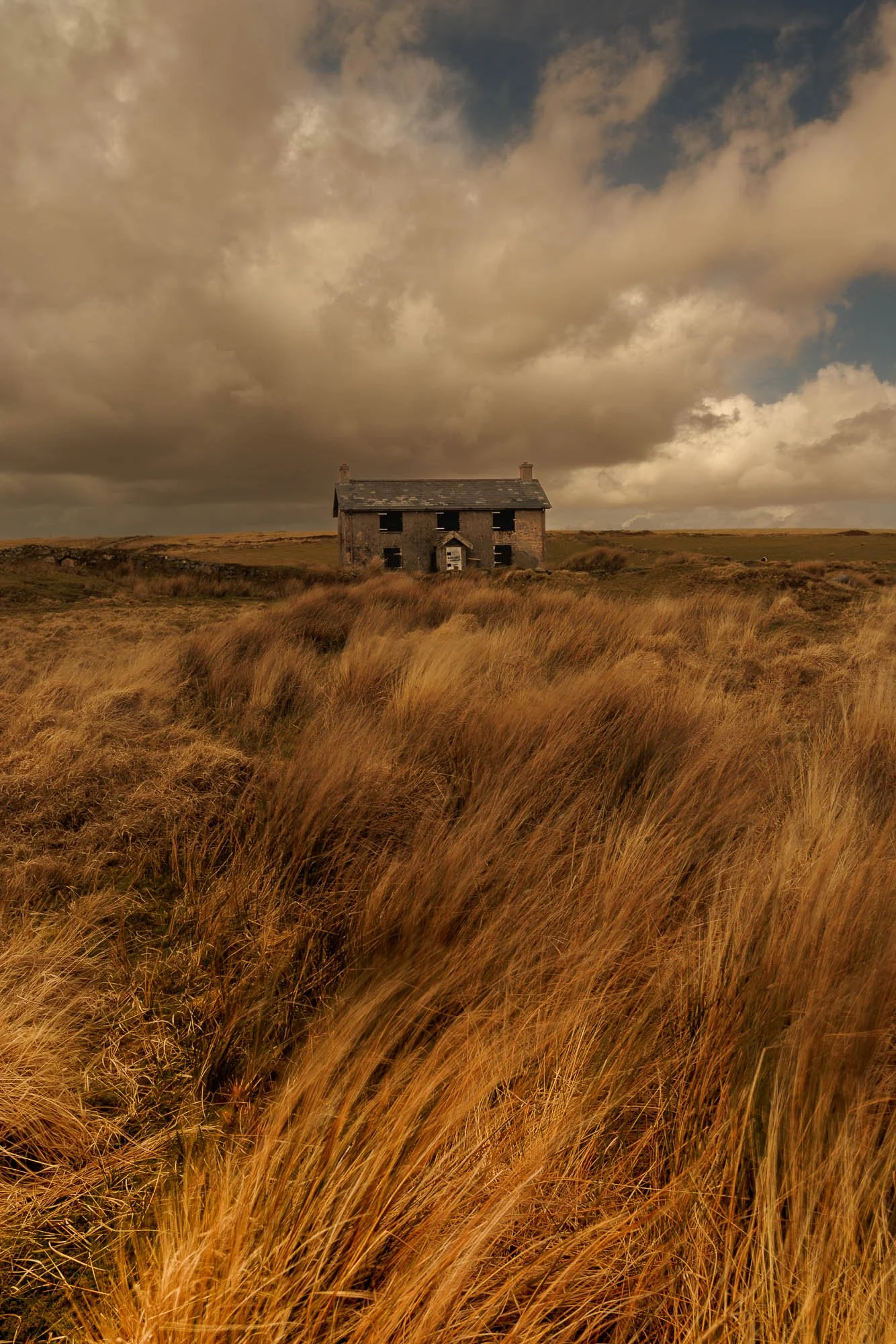 An old, abandoned Dartmoor house in a grassy field under cloudy sky.
