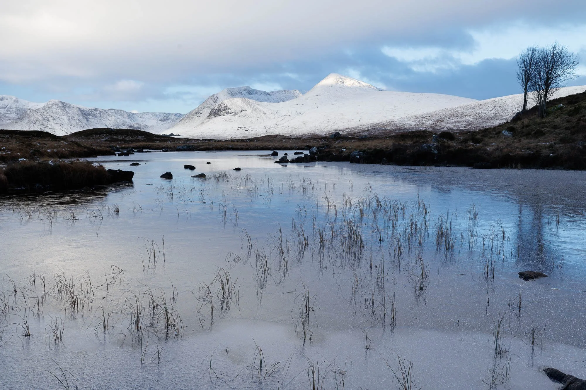 Glencoe, Scotland, snow covered mountains, a partly frozen lake with ice and grass, and a leafless tree on a hillside.