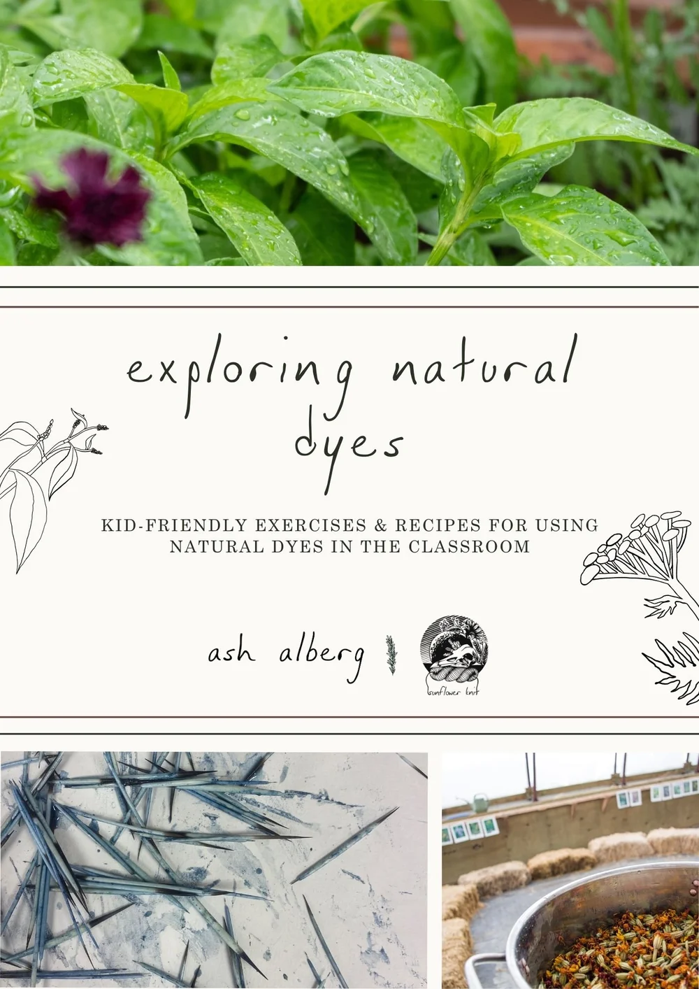 exploring natural dyes E-BOOK - kid-friendly exercises & recipes for ...