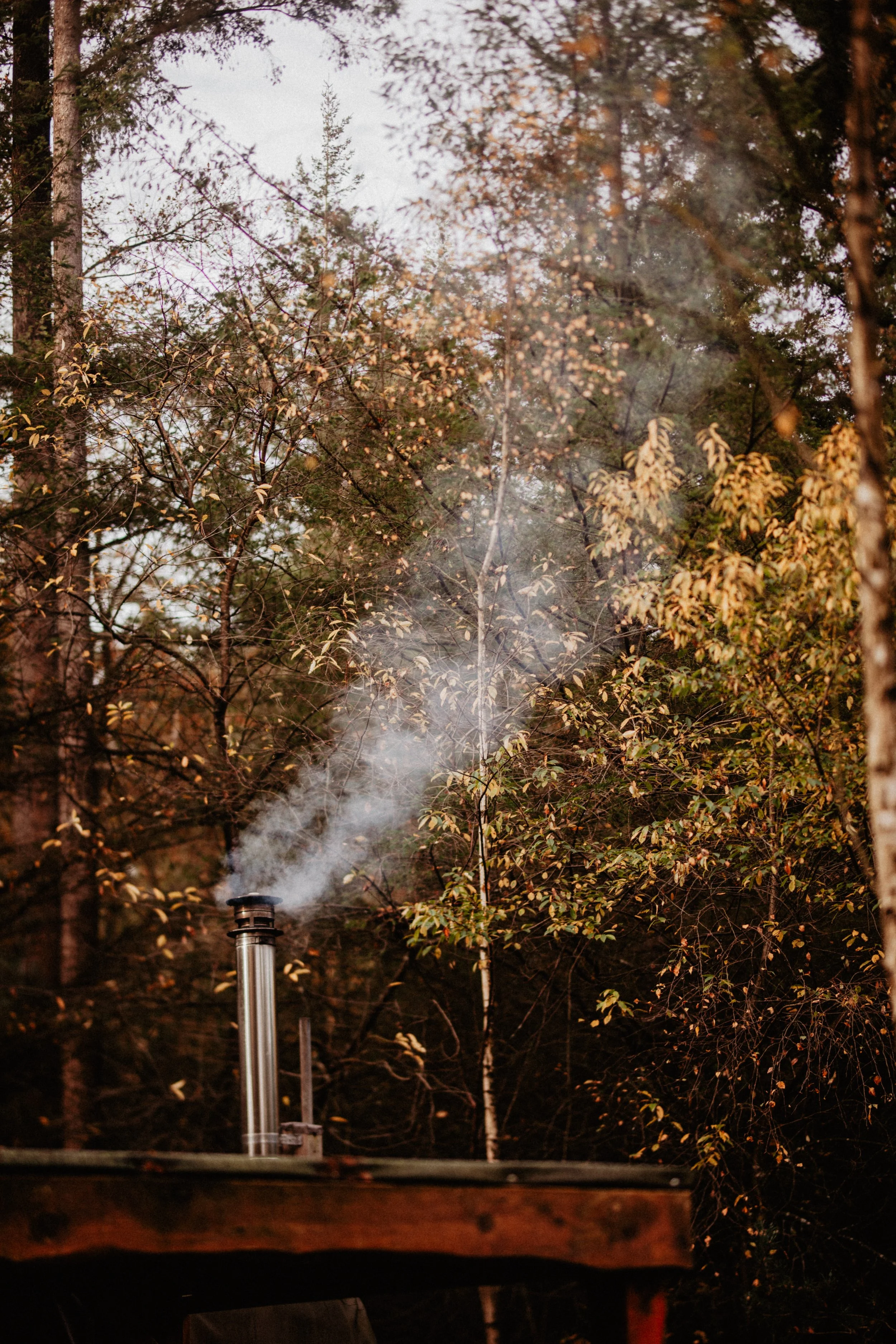 Elke-Smit-183.jpg