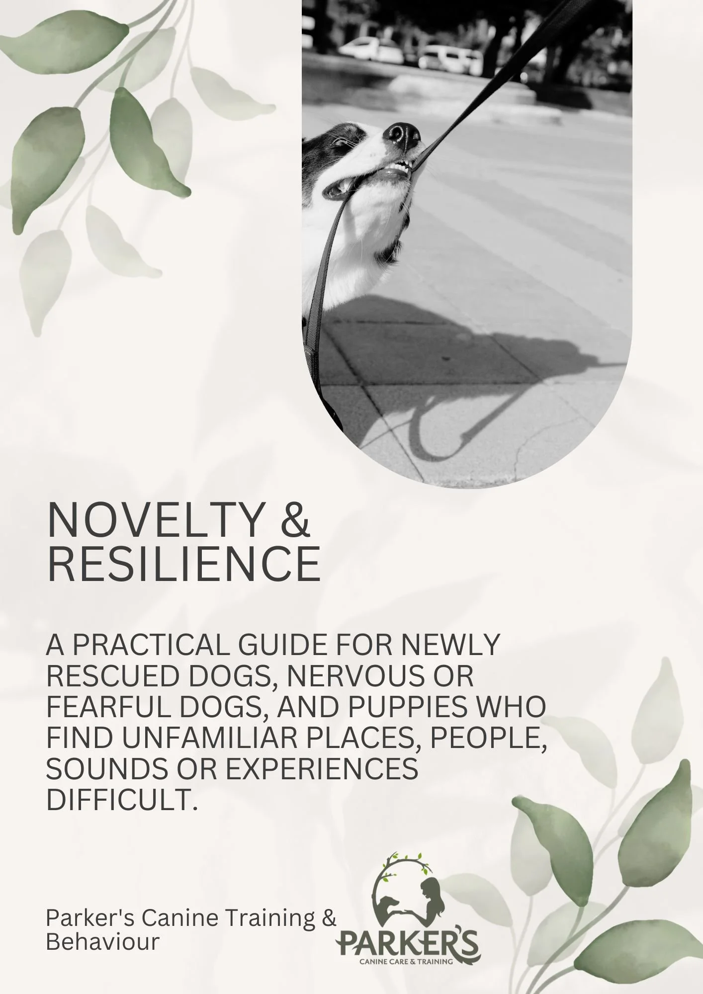 Novelty &amp; Resilience 