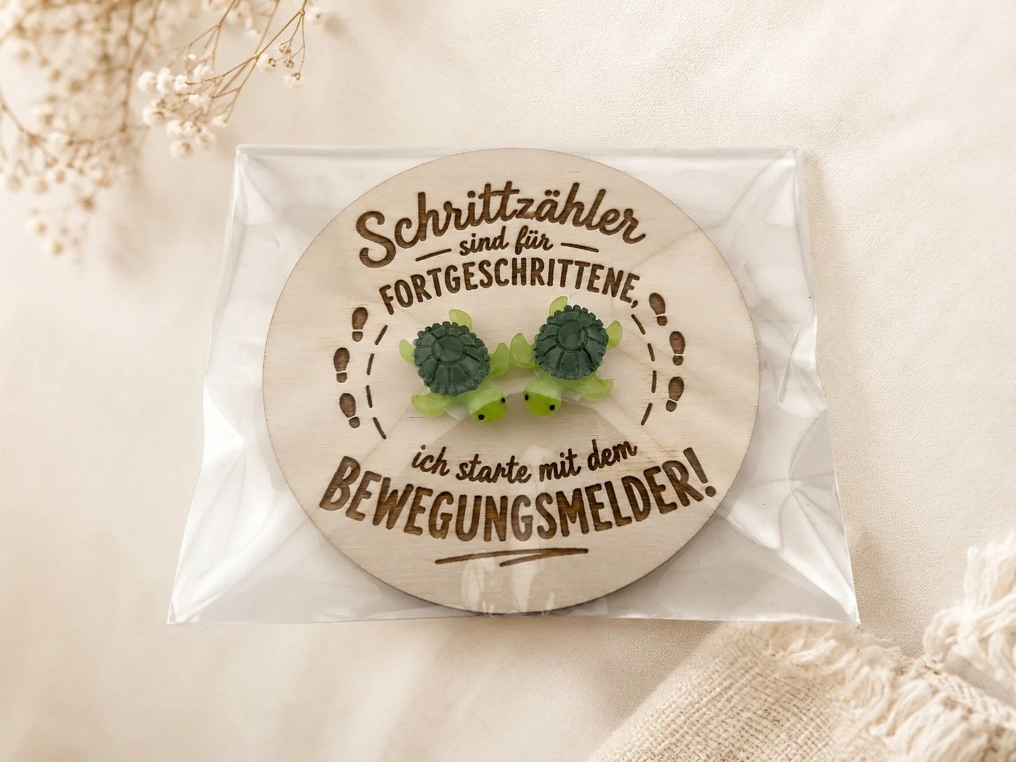 Schildkröte1.jpg