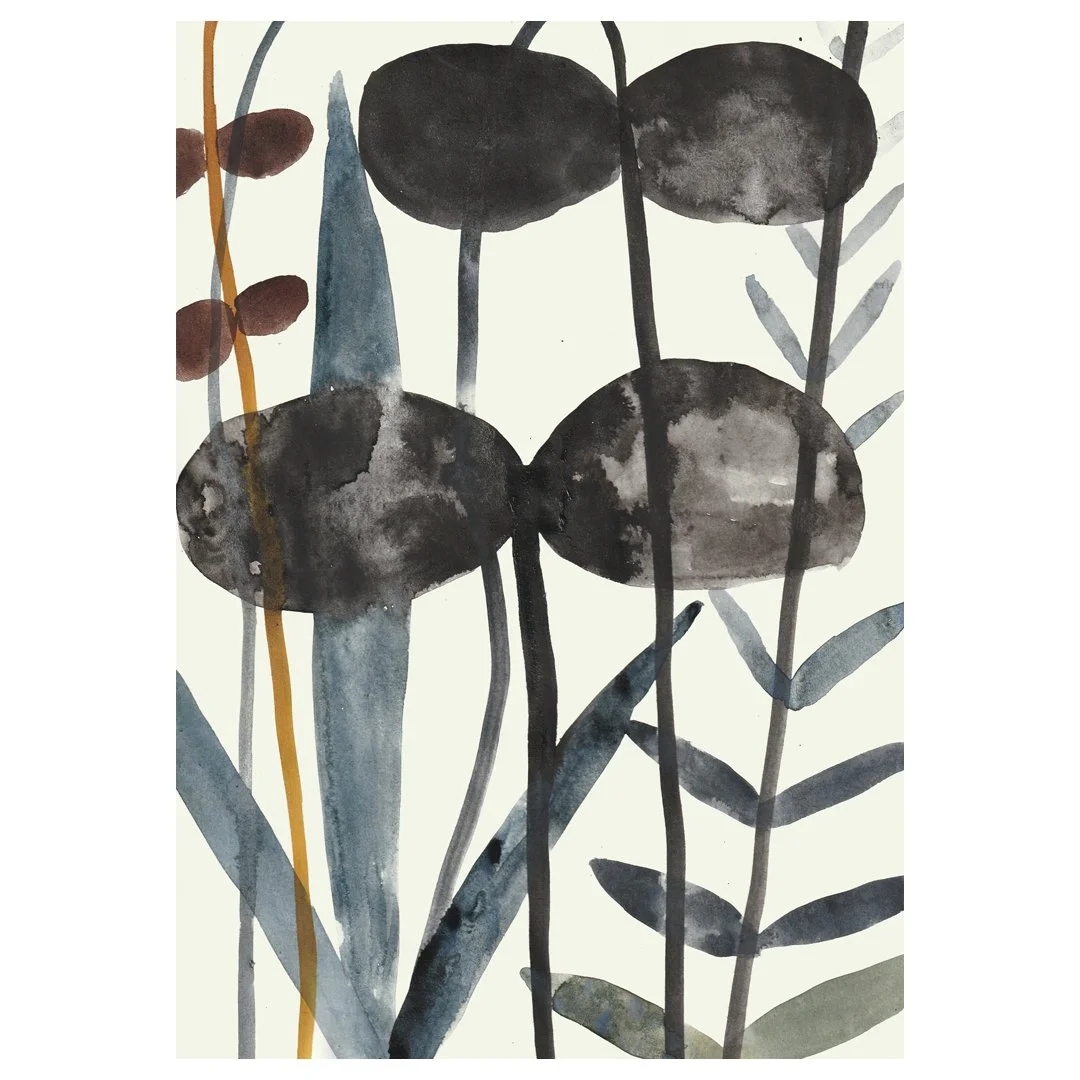 Plant Illustration (Original)