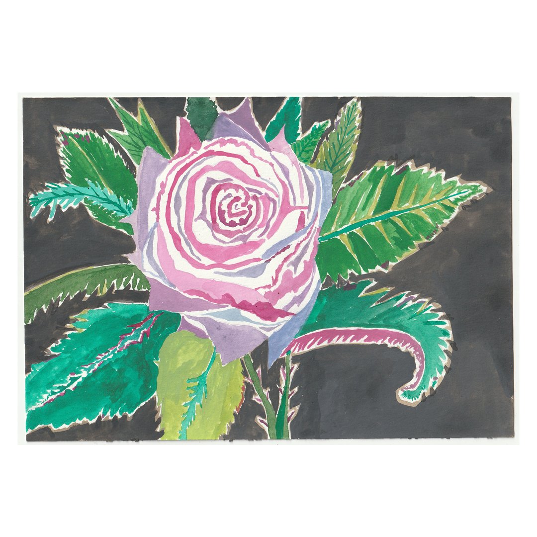 rose 1.jpg