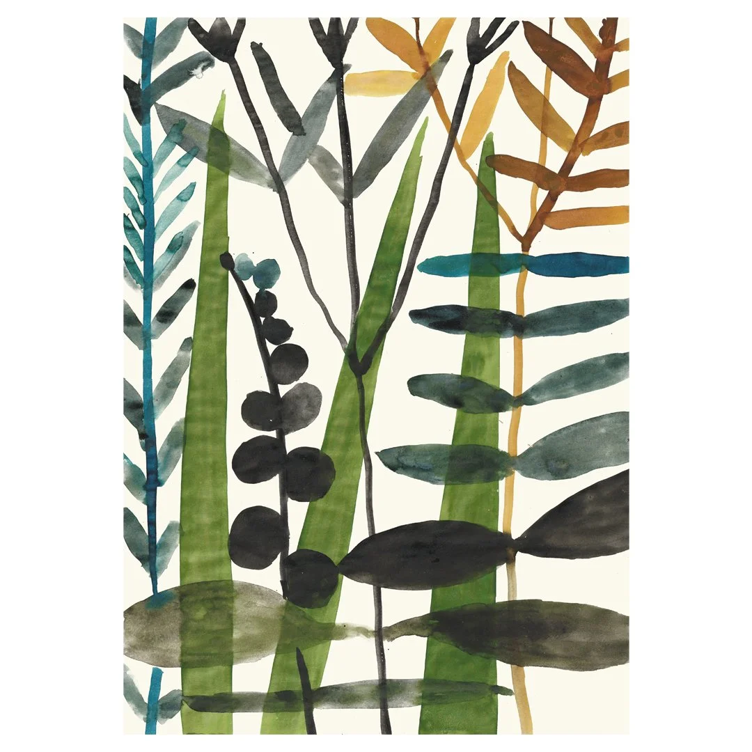 Botanic Illustration (Original)