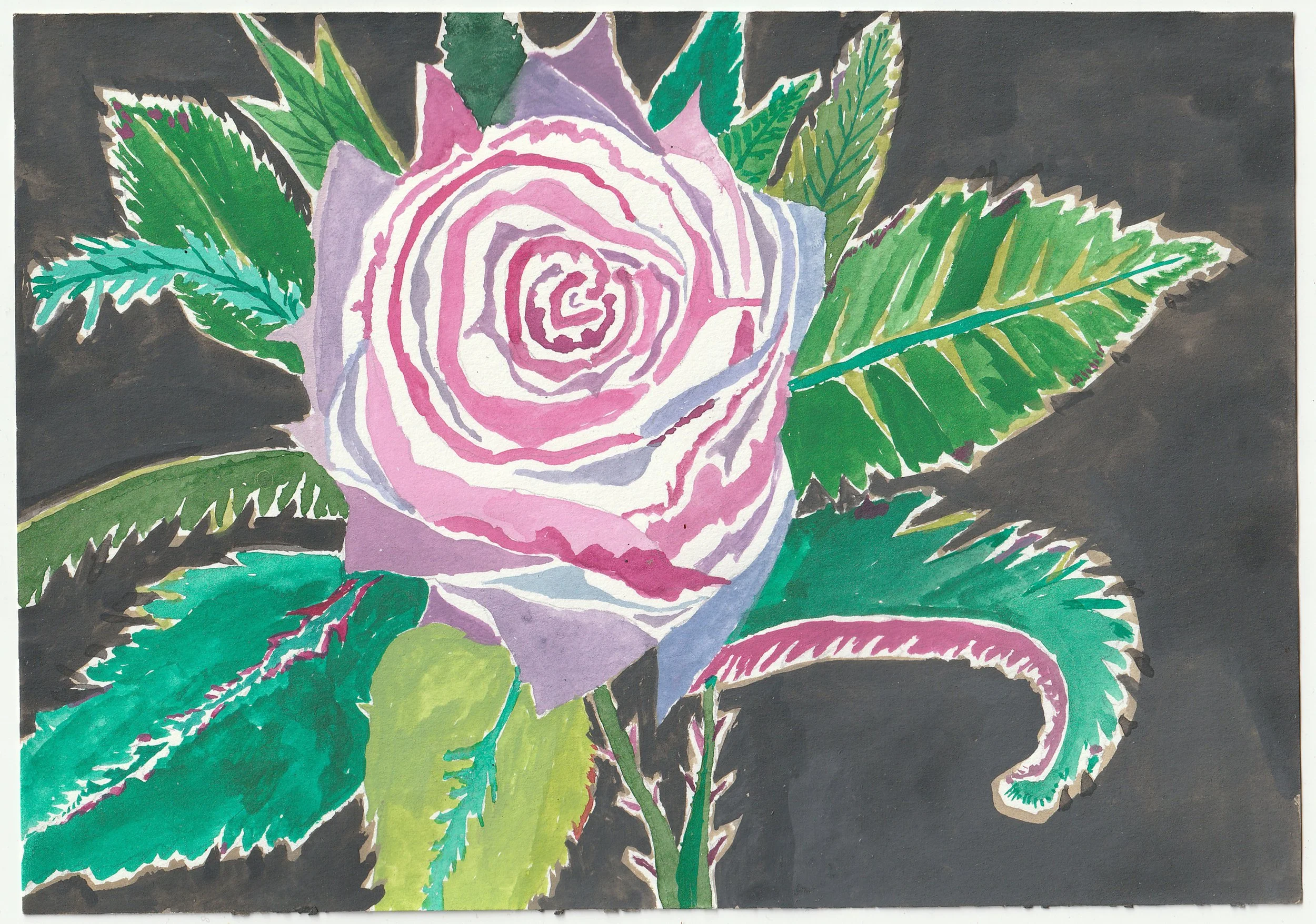 rosez2.jpg
