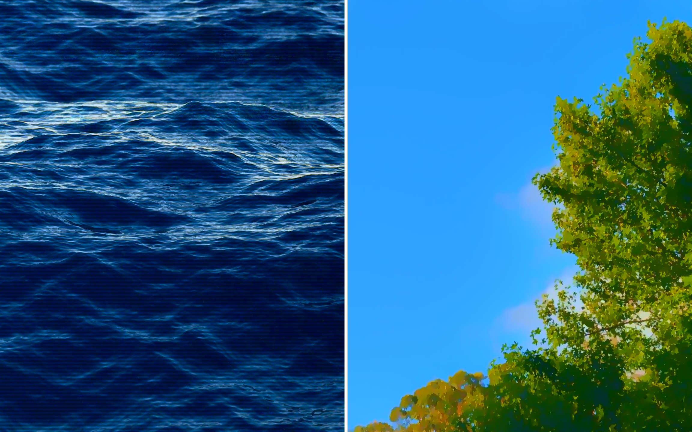 WEBSITE STILL_5.1.1.png